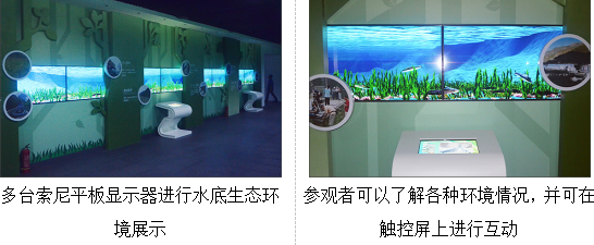 图片13.png